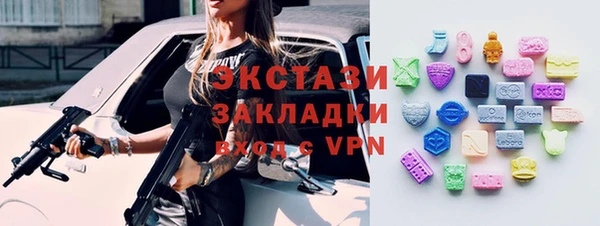 мдпв Инта