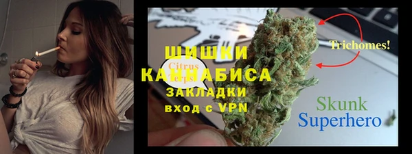 мдпв Инта
