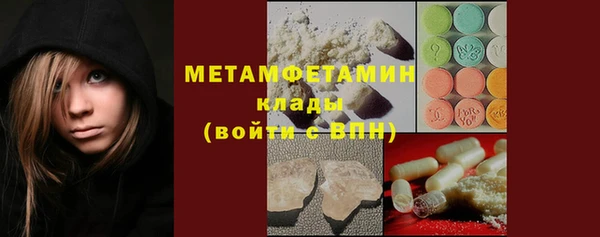 мдпв Инта