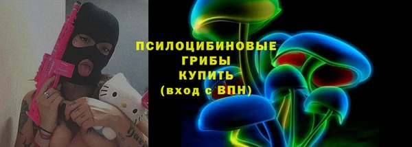 первитин Инсар