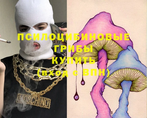 первитин Инсар