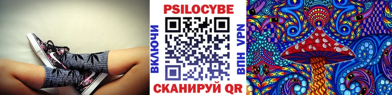 закладки  Спас-Деменск  Галлюциногенные грибы Cubensis 